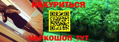 молекула духа Камышлов