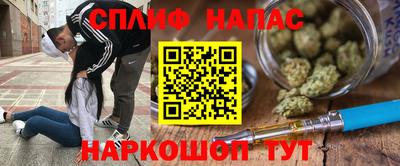 молекула духа Камышлов