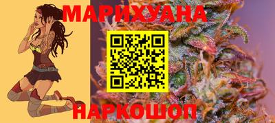 молекула духа Камышлов