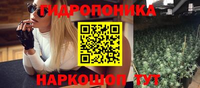 крисы Канаш