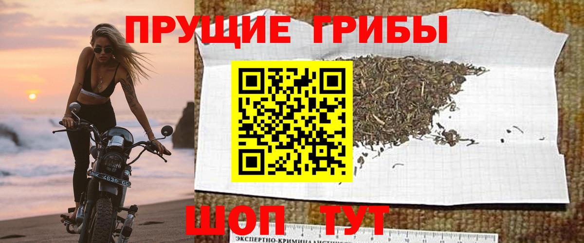 Лесосибирск  Галлюциногенные грибы GOLDEN TEACHER  Вход с VPN  Псилоцибиновые грибы мицелий 